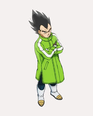 Dragon Ball Super Goku Broly Vegeta Sab Coat